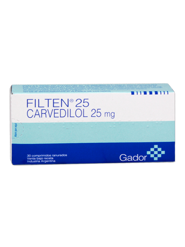 FILTEN 25